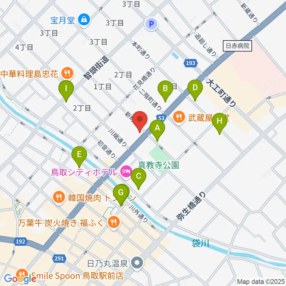 borzoi record周辺の駐車場・コインパーキング一覧地図