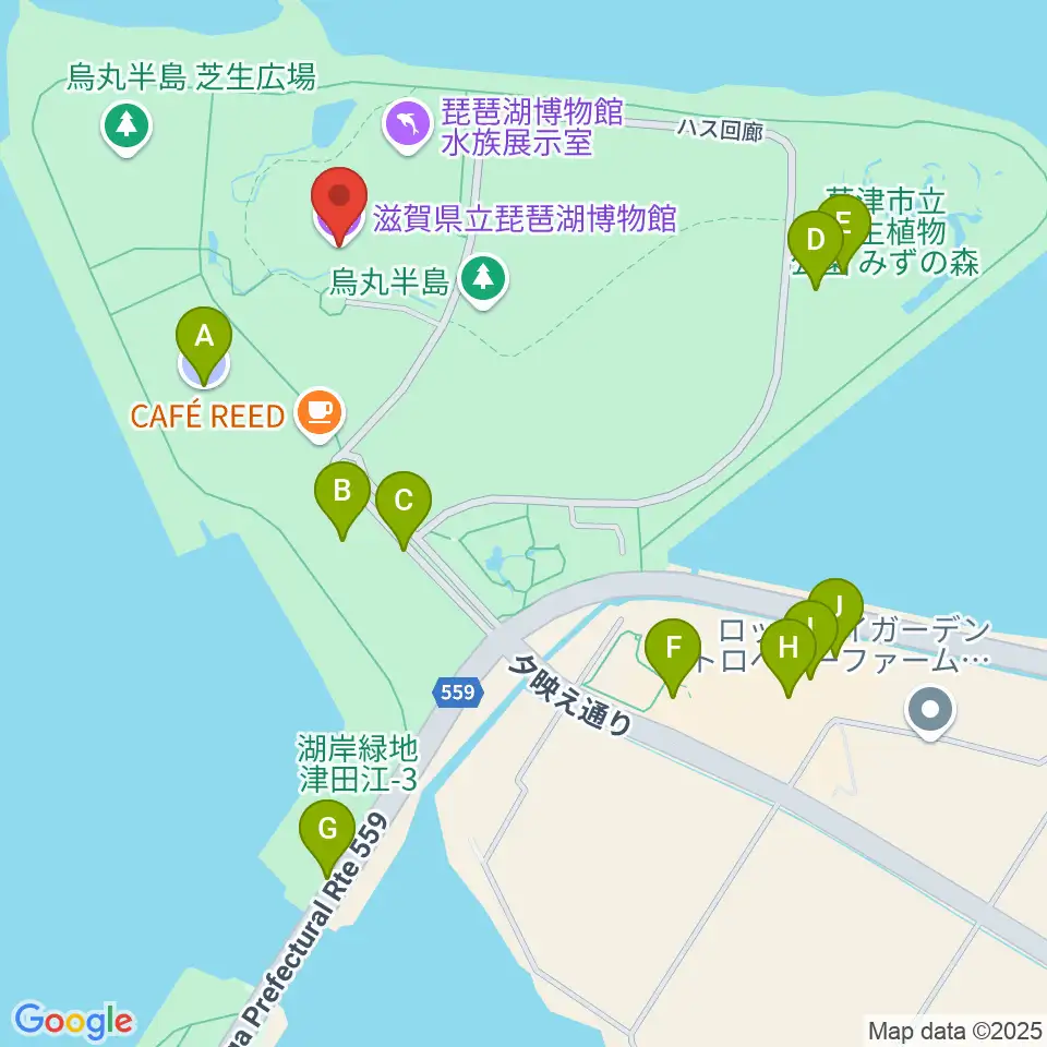 滋賀県立琵琶湖博物館周辺の駐車場・コインパーキング一覧地図