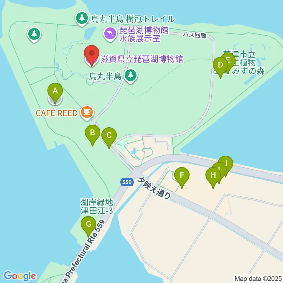 滋賀県立琵琶湖博物館周辺の駐車場・コインパーキング一覧地図