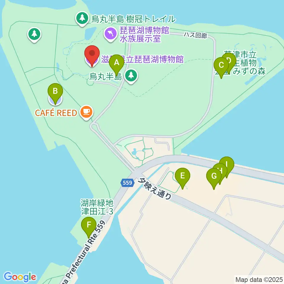 滋賀県立琵琶湖博物館周辺の駐車場・コインパーキング一覧地図