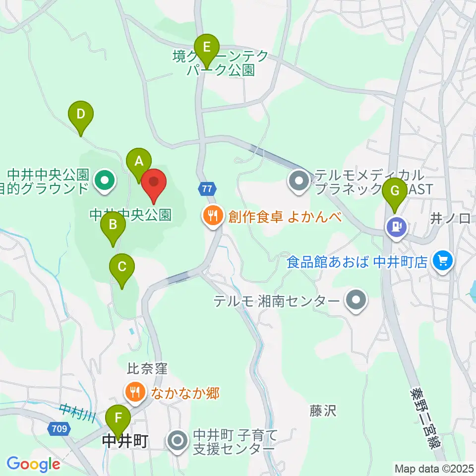 星槎中井スタジアム周辺の駐車場・コインパーキング一覧地図