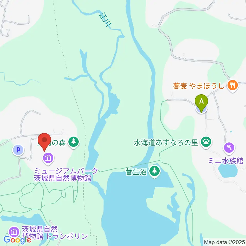 ミュージアムパーク茨城県自然博物館周辺の駐車場・コインパーキング一覧地図