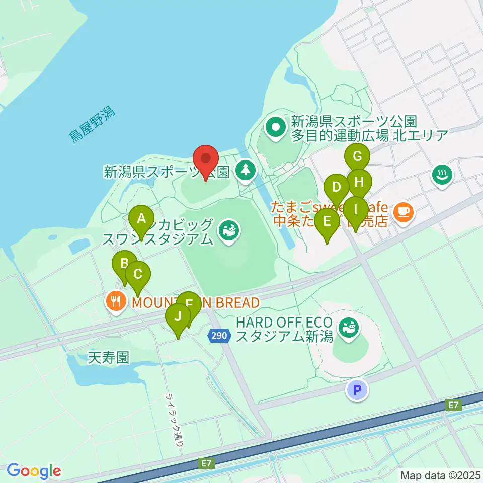 デンカスワンフィールド周辺の駐車場・コインパーキング一覧地図