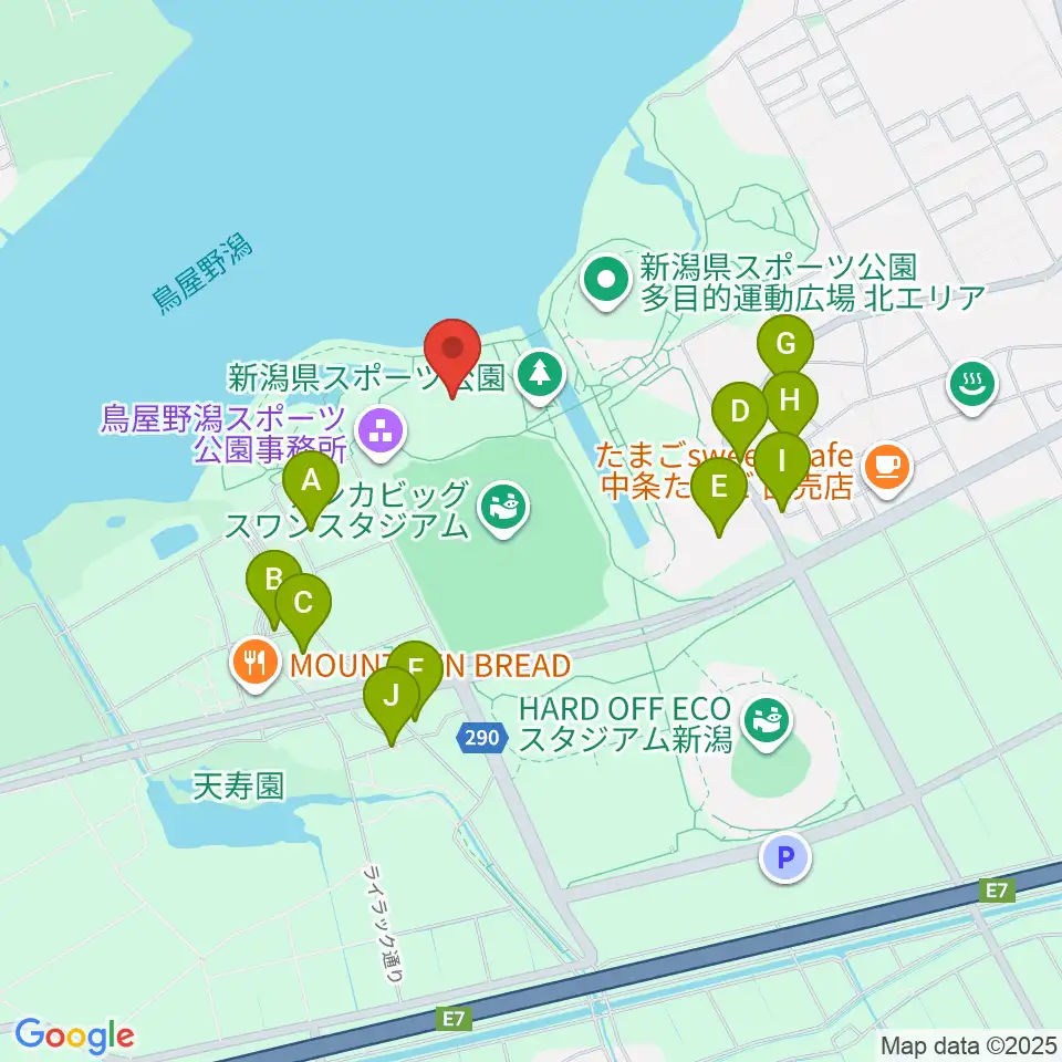 デンカスワンフィールド周辺の駐車場・コインパーキング一覧地図