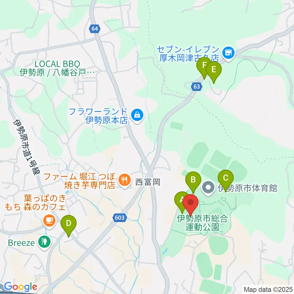 伊勢原市総合運動公園自由広場周辺の駐車場・コインパーキング一覧地図