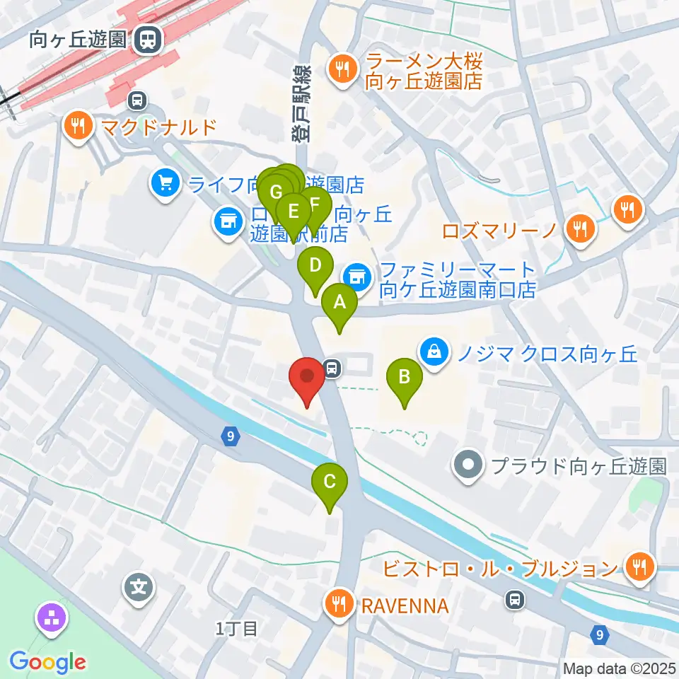 クレッシェレ音楽教室 向ヶ丘遊園校周辺のファミレス・ファーストフード一覧地図