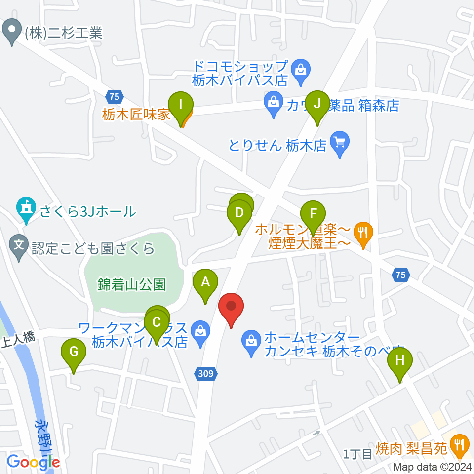 オオノ楽器 栃木店周辺のファミレス・ファーストフード一覧地図