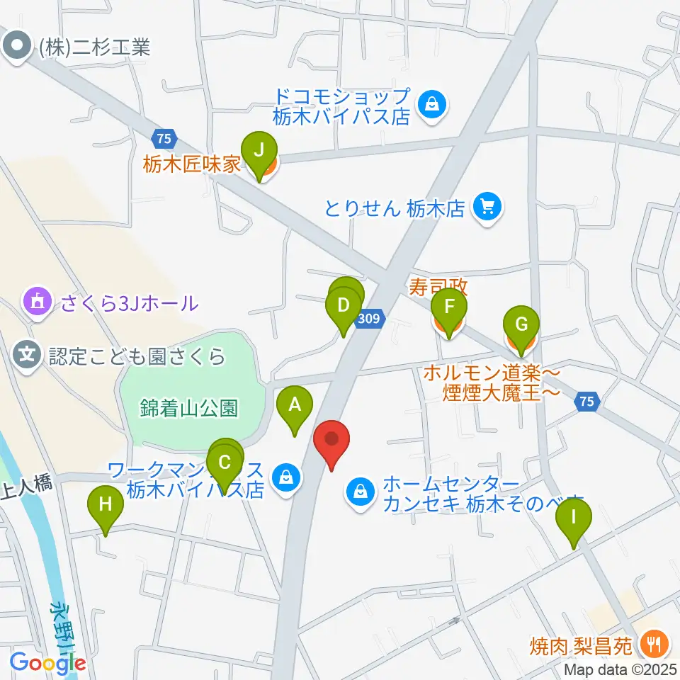 オオノ楽器 栃木店周辺のファミレス・ファーストフード一覧地図