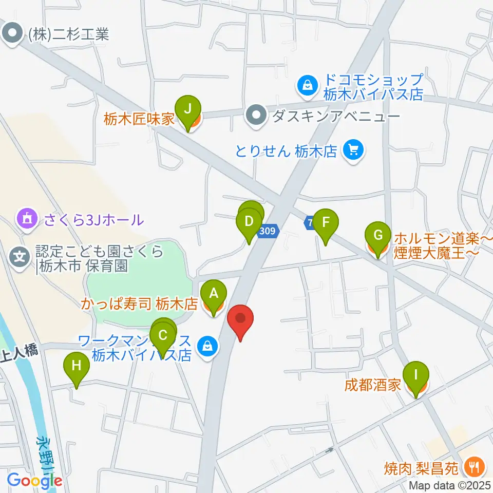 オオノ楽器 栃木店周辺のファミレス・ファーストフード一覧地図