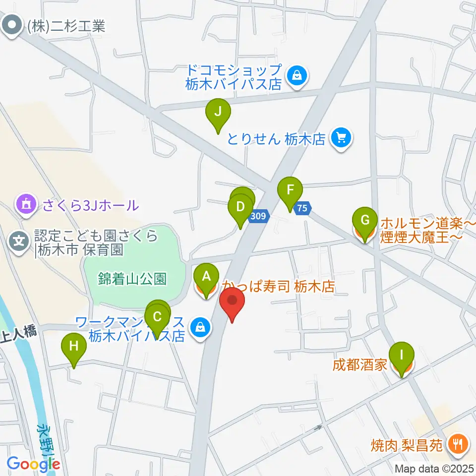 オオノ楽器 栃木店周辺のファミレス・ファーストフード一覧地図