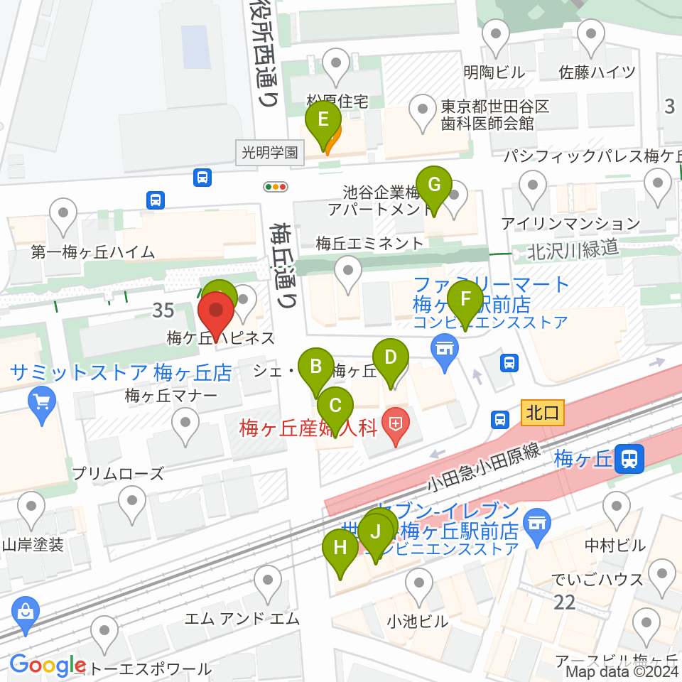 弦遊亭周辺のファミレス・ファーストフード一覧地図