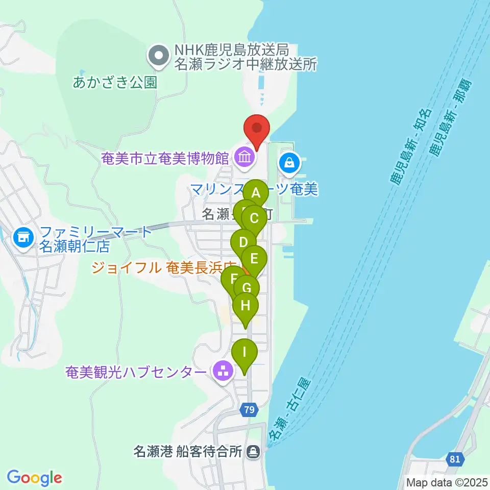 奄美振興会館周辺のファミレス・ファーストフード一覧地図