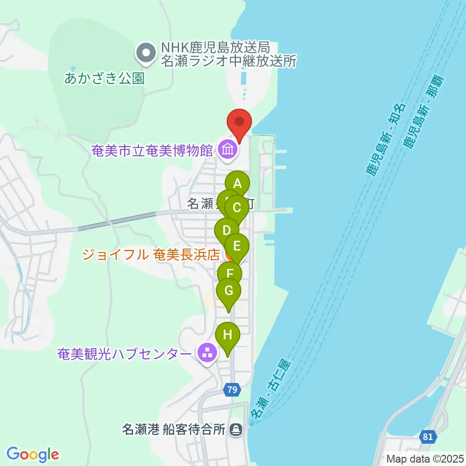 奄美振興会館周辺のファミレス・ファーストフード一覧地図