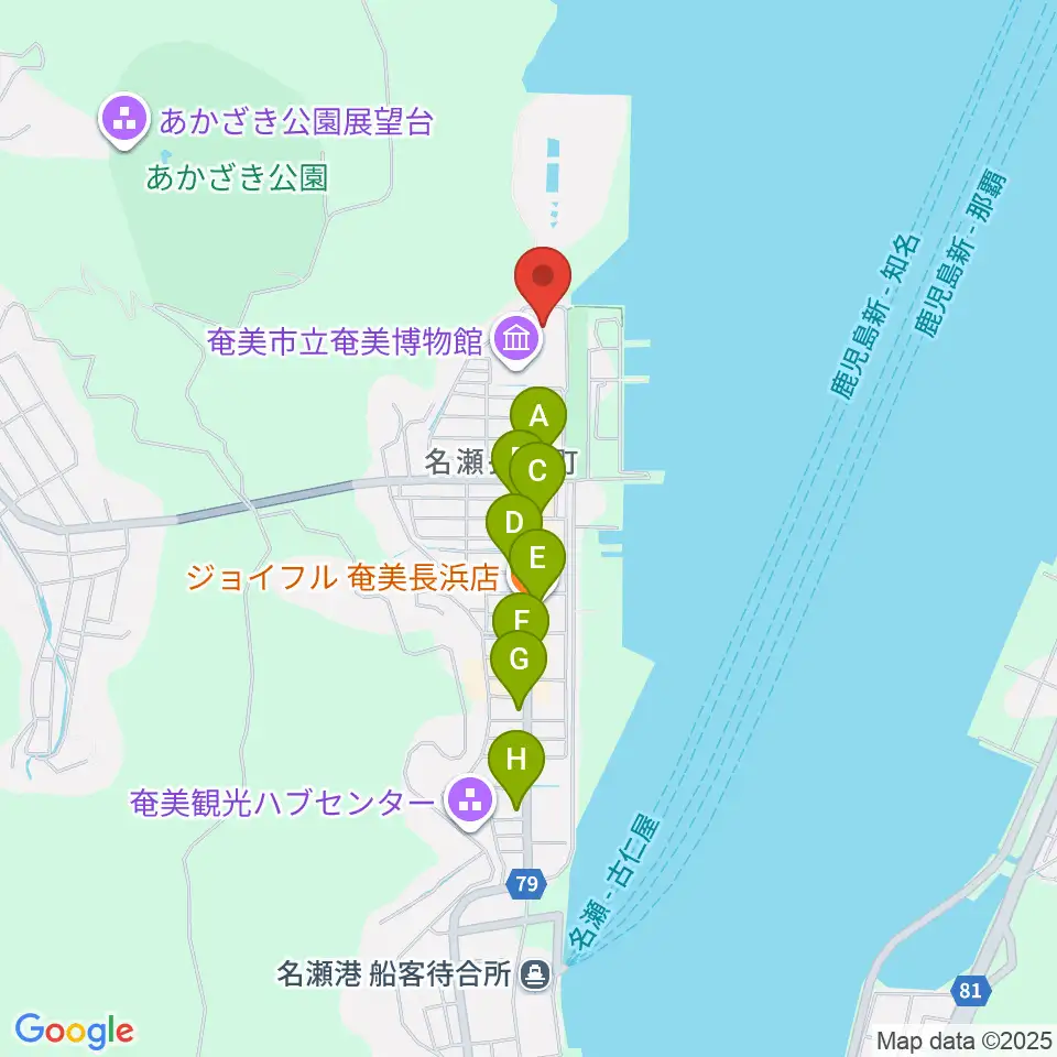 奄美振興会館周辺のファミレス・ファーストフード一覧地図
