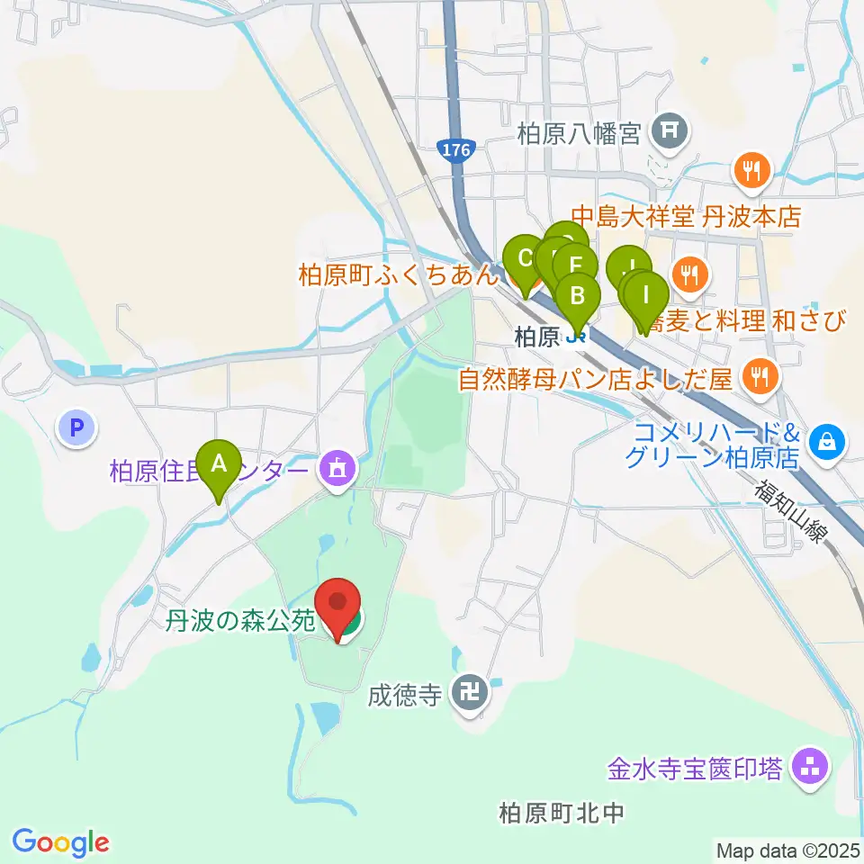 丹波の森公苑ホール周辺のファミレス・ファーストフード一覧地図
