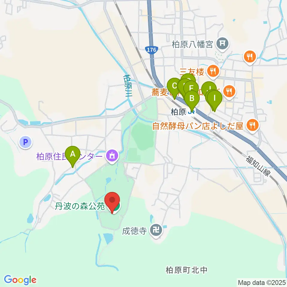 丹波の森公苑ホール周辺のファミレス・ファーストフード一覧地図
