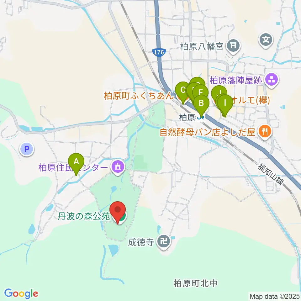 丹波の森公苑ホール周辺のファミレス・ファーストフード一覧地図