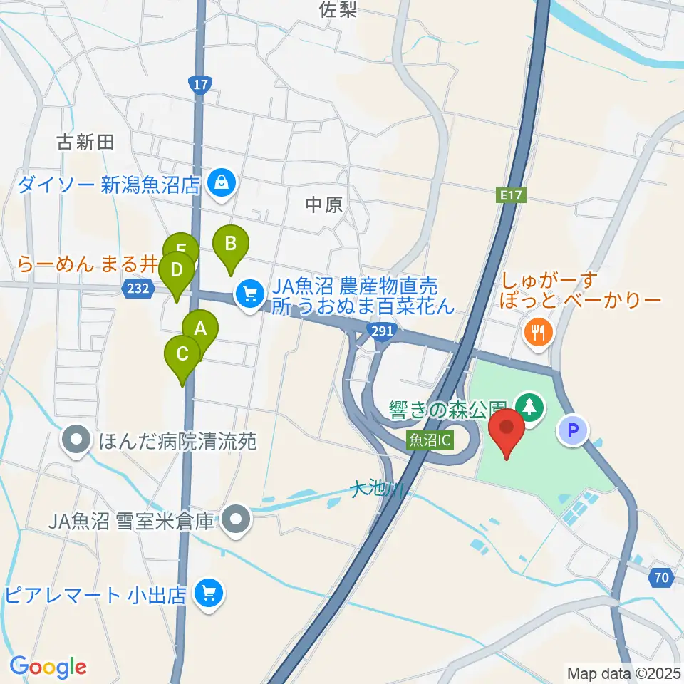 魚沼市響きの森文化会館周辺のファミレス・ファーストフード一覧地図
