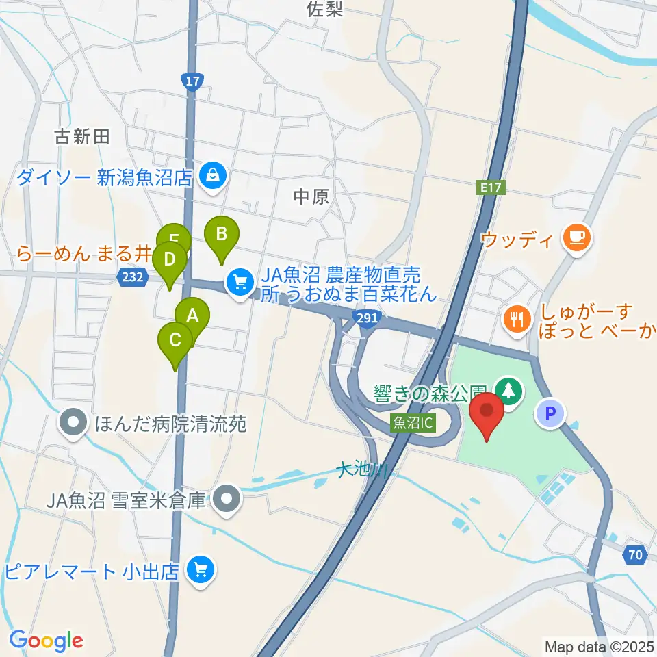 魚沼市響きの森文化会館周辺のファミレス・ファーストフード一覧地図