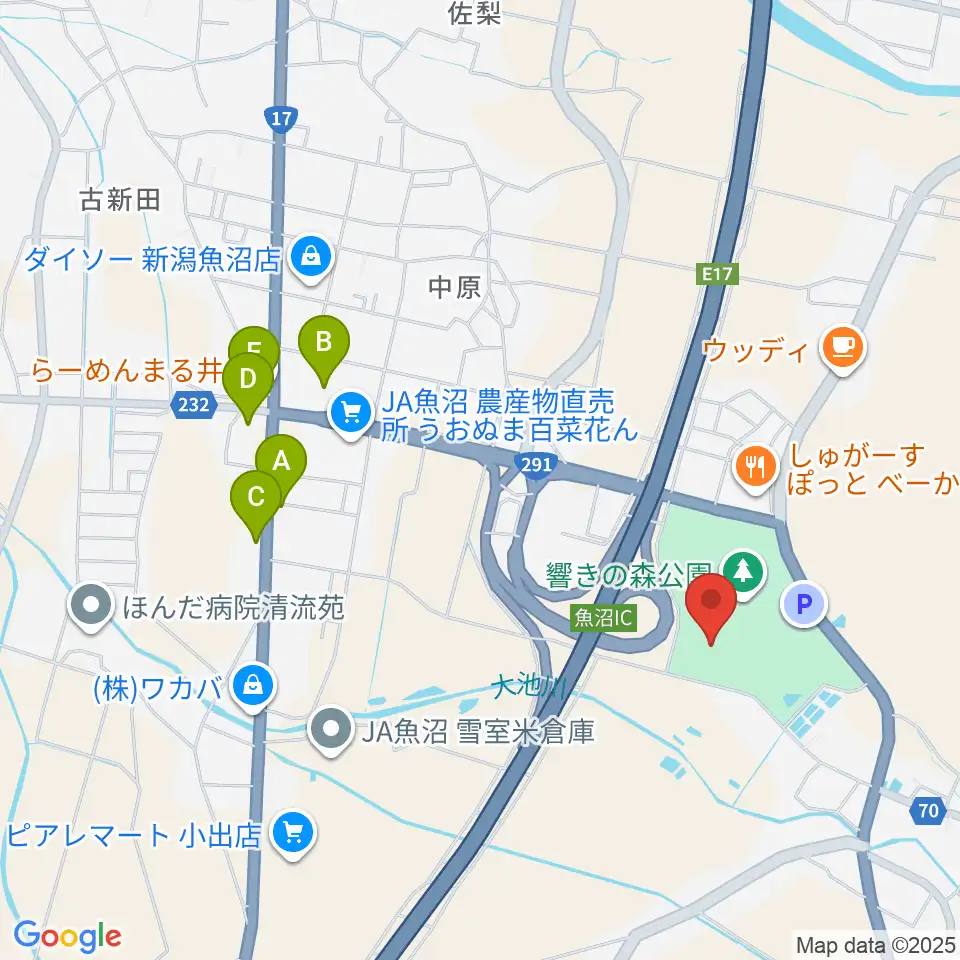 魚沼市響きの森文化会館周辺のファミレス・ファーストフード一覧地図