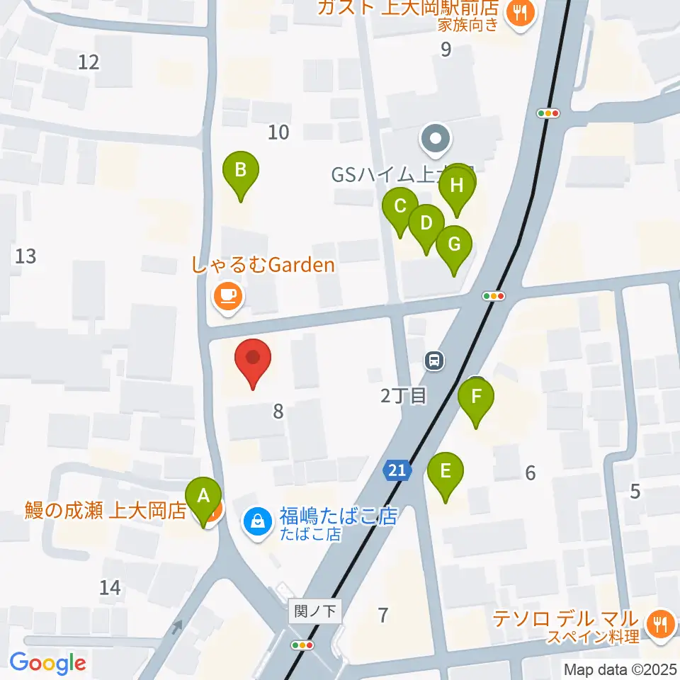 新堀ギター音楽院 上大岡教室周辺のファミレス・ファーストフード一覧地図