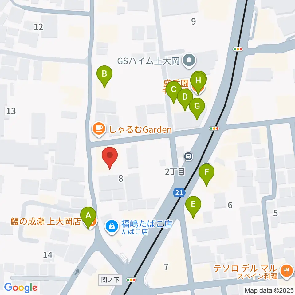 新堀ギター音楽院 上大岡教室周辺のファミレス・ファーストフード一覧地図