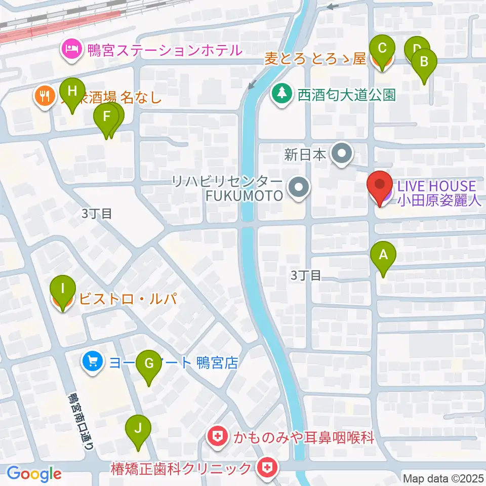 小田原姿麗人周辺のファミレス・ファーストフード一覧地図