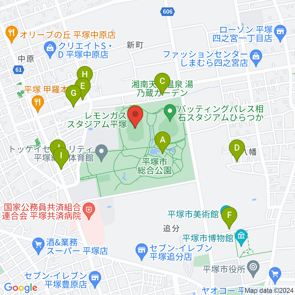 レモンガススタジアム平塚周辺のファミレス・ファーストフード一覧地図