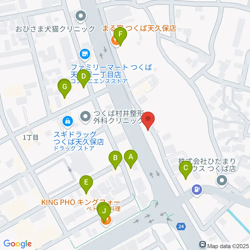 ホソダ興産グランドピアノ練習室周辺のファミレス・ファーストフード一覧地図