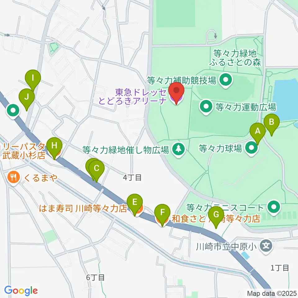 東急ドレッセとどろきアリーナ周辺のファミレス・ファーストフード一覧地図