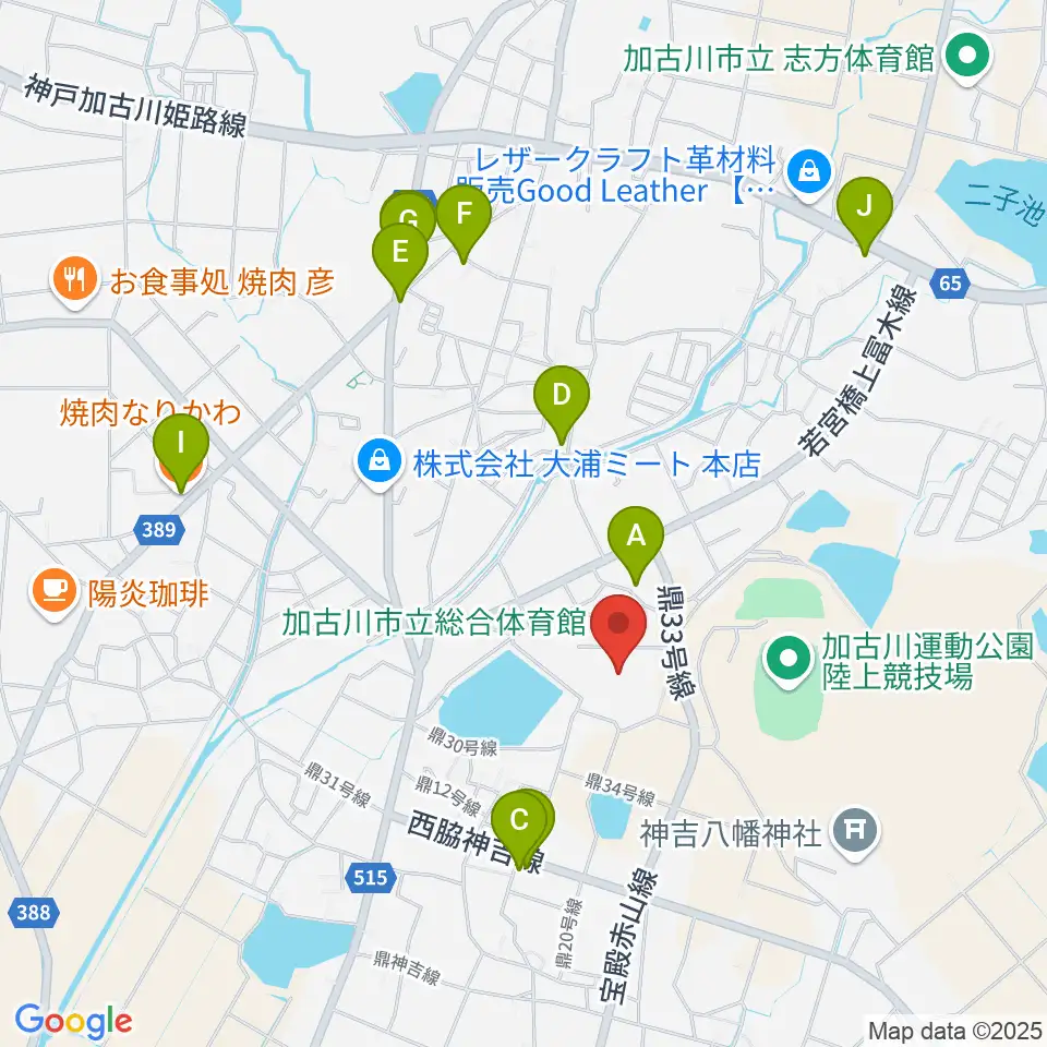 SHOWAグループ総合体育館周辺のファミレス・ファーストフード一覧地図