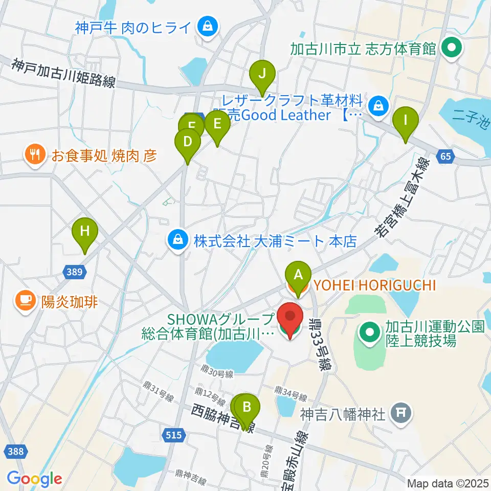 SHOWAグループ総合体育館周辺のファミレス・ファーストフード一覧地図