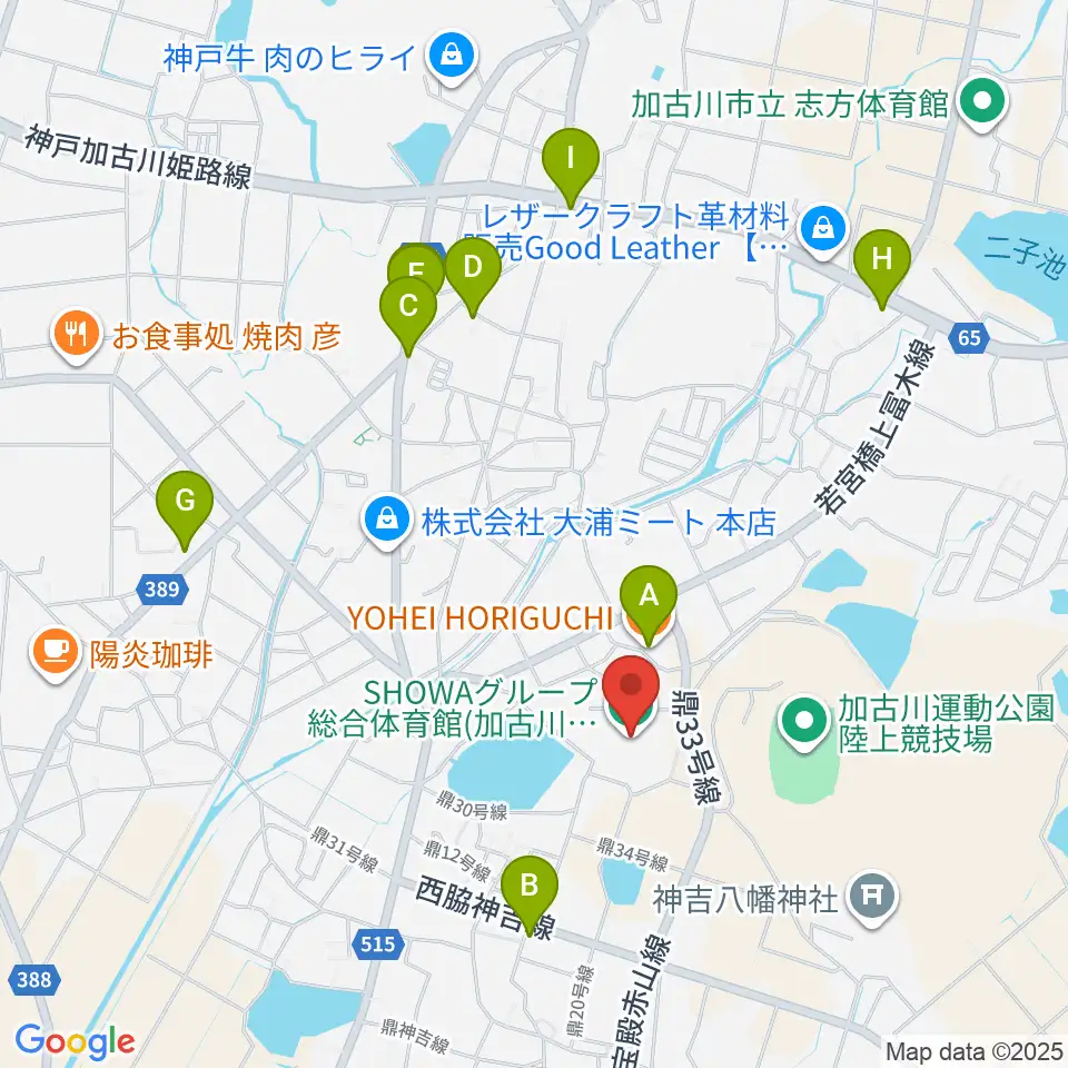 SHOWAグループ総合体育館周辺のファミレス・ファーストフード一覧地図