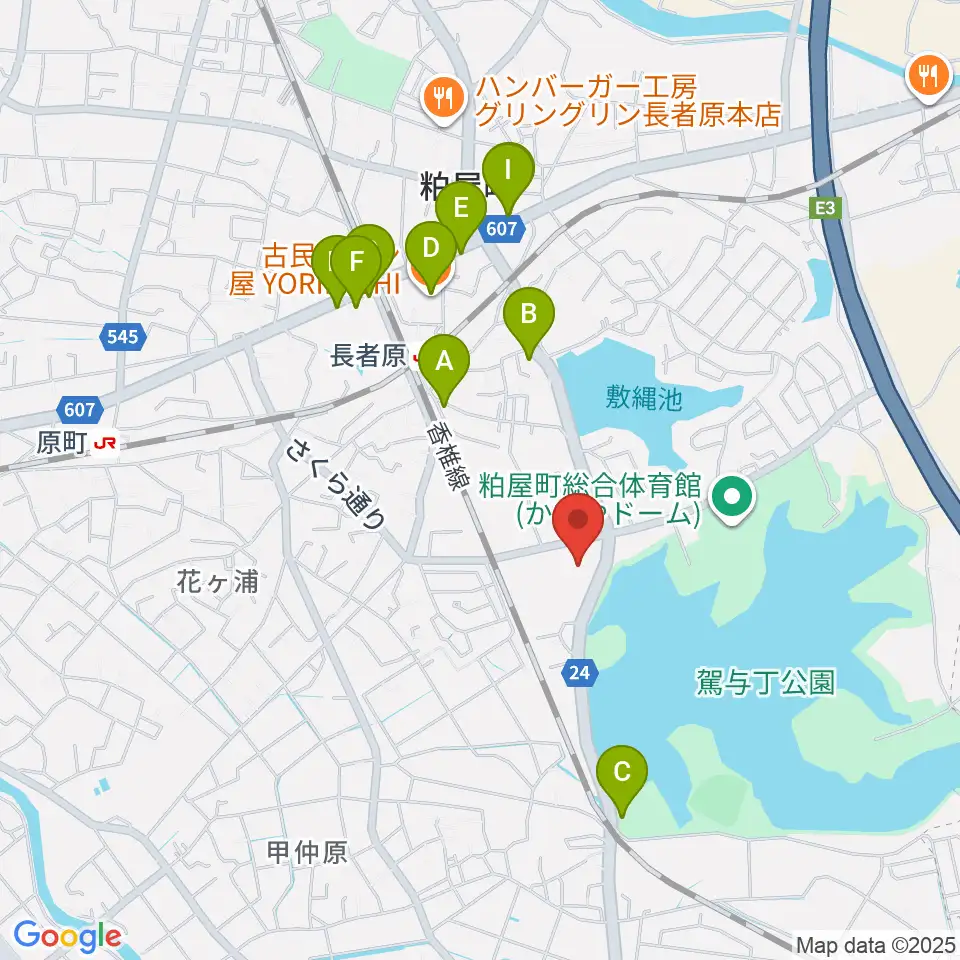サンレイクかすや周辺のファミレス・ファーストフード一覧地図