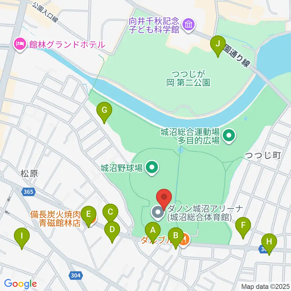 ダノン城沼アリーナ周辺のファミレス・ファーストフード一覧地図