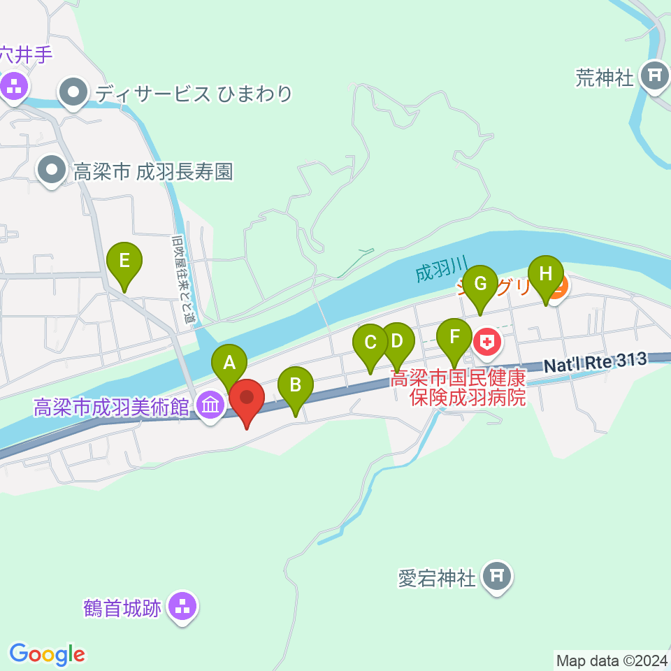 たいこまるプラザ 伊藤記念ホール周辺のファミレス・ファーストフード一覧地図