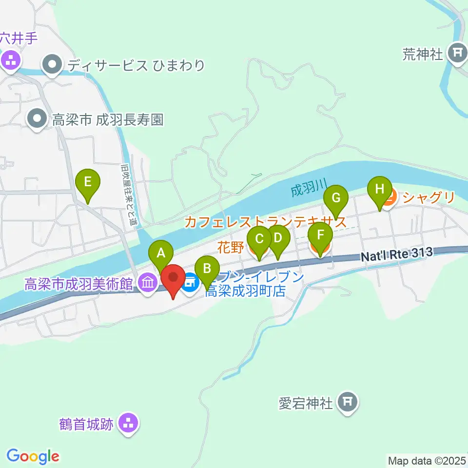 たいこまるプラザ 伊藤記念ホール周辺のファミレス・ファーストフード一覧地図