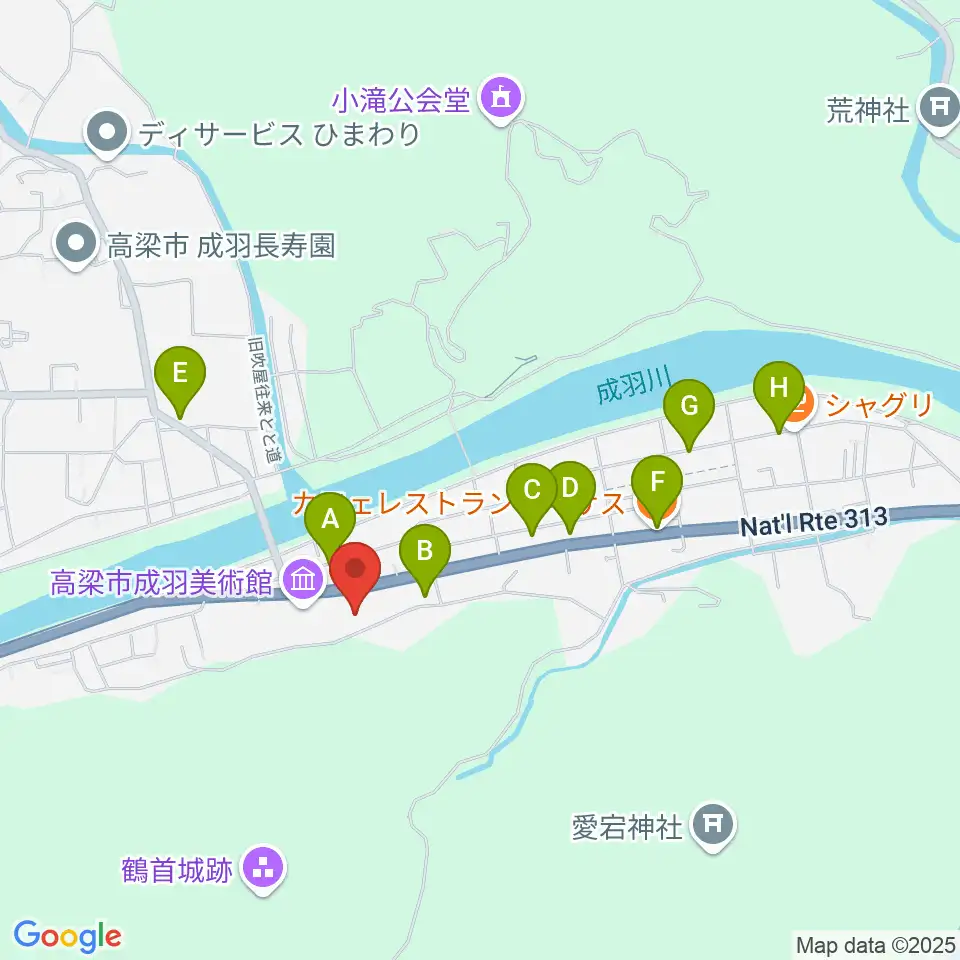 たいこまるプラザ 伊藤記念ホール周辺のファミレス・ファーストフード一覧地図