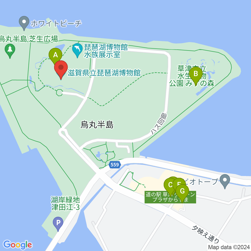滋賀県立琵琶湖博物館周辺のファミレス・ファーストフード一覧地図