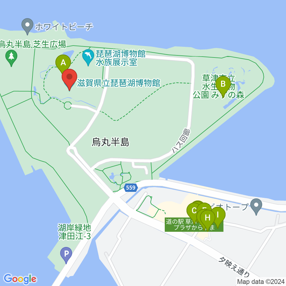 滋賀県立琵琶湖博物館周辺のファミレス・ファーストフード一覧地図