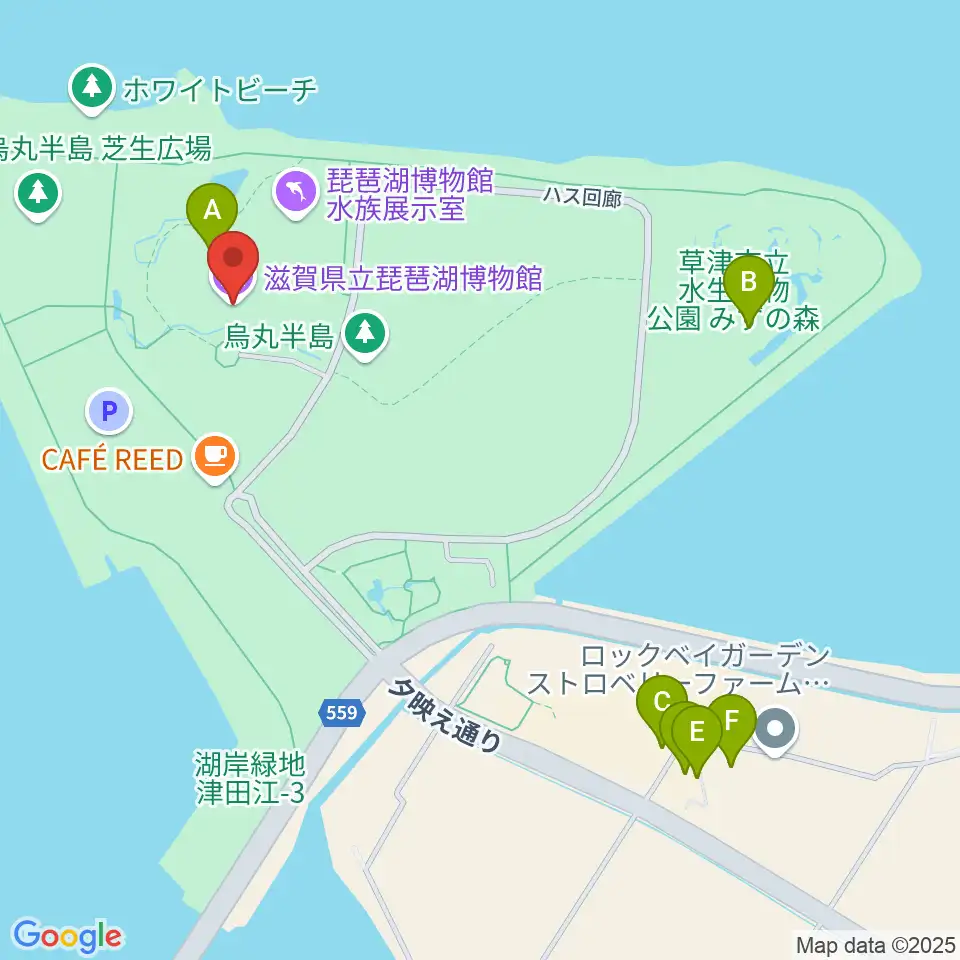 滋賀県立琵琶湖博物館周辺のファミレス・ファーストフード一覧地図