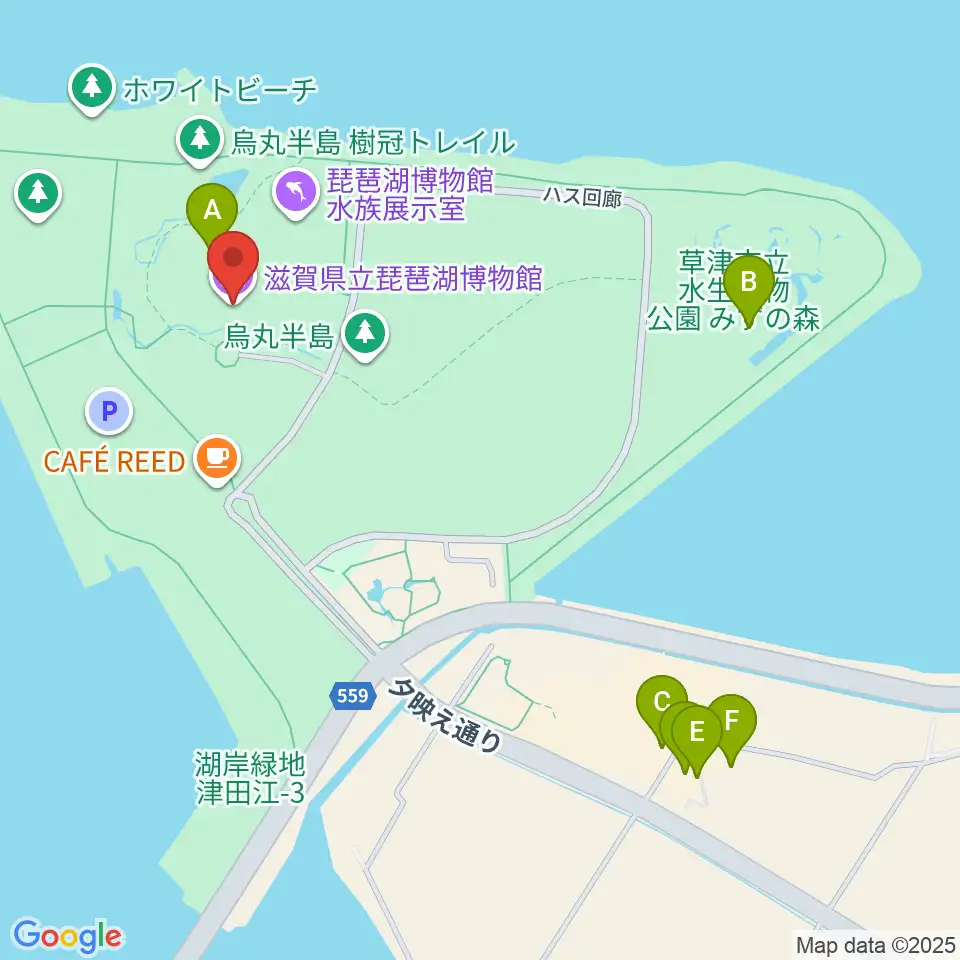滋賀県立琵琶湖博物館周辺のファミレス・ファーストフード一覧地図