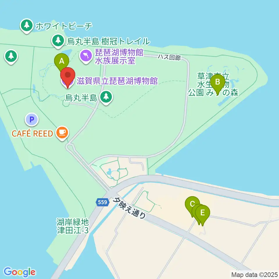 滋賀県立琵琶湖博物館周辺のファミレス・ファーストフード一覧地図