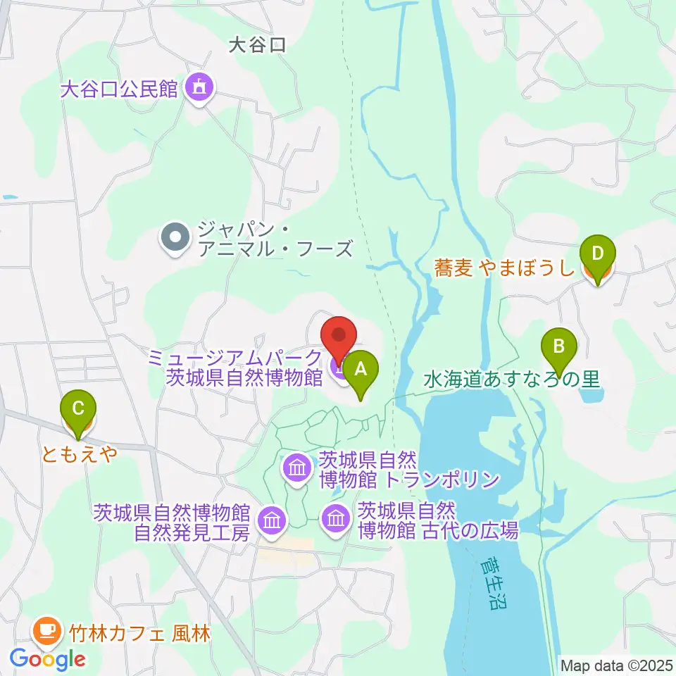 ミュージアムパーク茨城県自然博物館周辺のファミレス・ファーストフード一覧地図