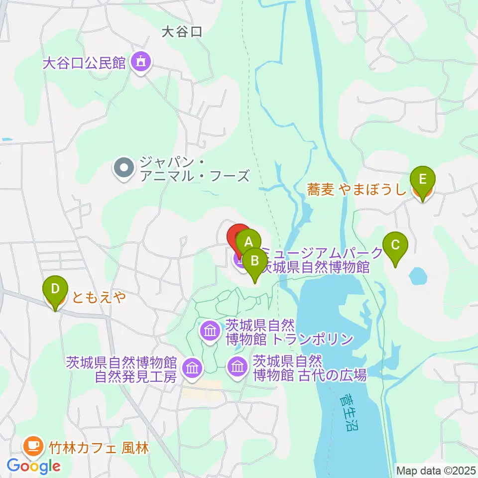 ミュージアムパーク茨城県自然博物館周辺のファミレス・ファーストフード一覧地図