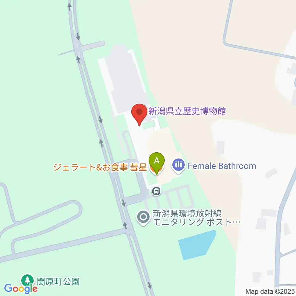 新潟県立歴史博物館周辺のファミレス・ファーストフード一覧地図