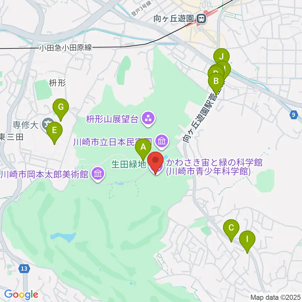 かわさき宙(そら)と緑の科学館周辺のファミレス・ファーストフード一覧地図