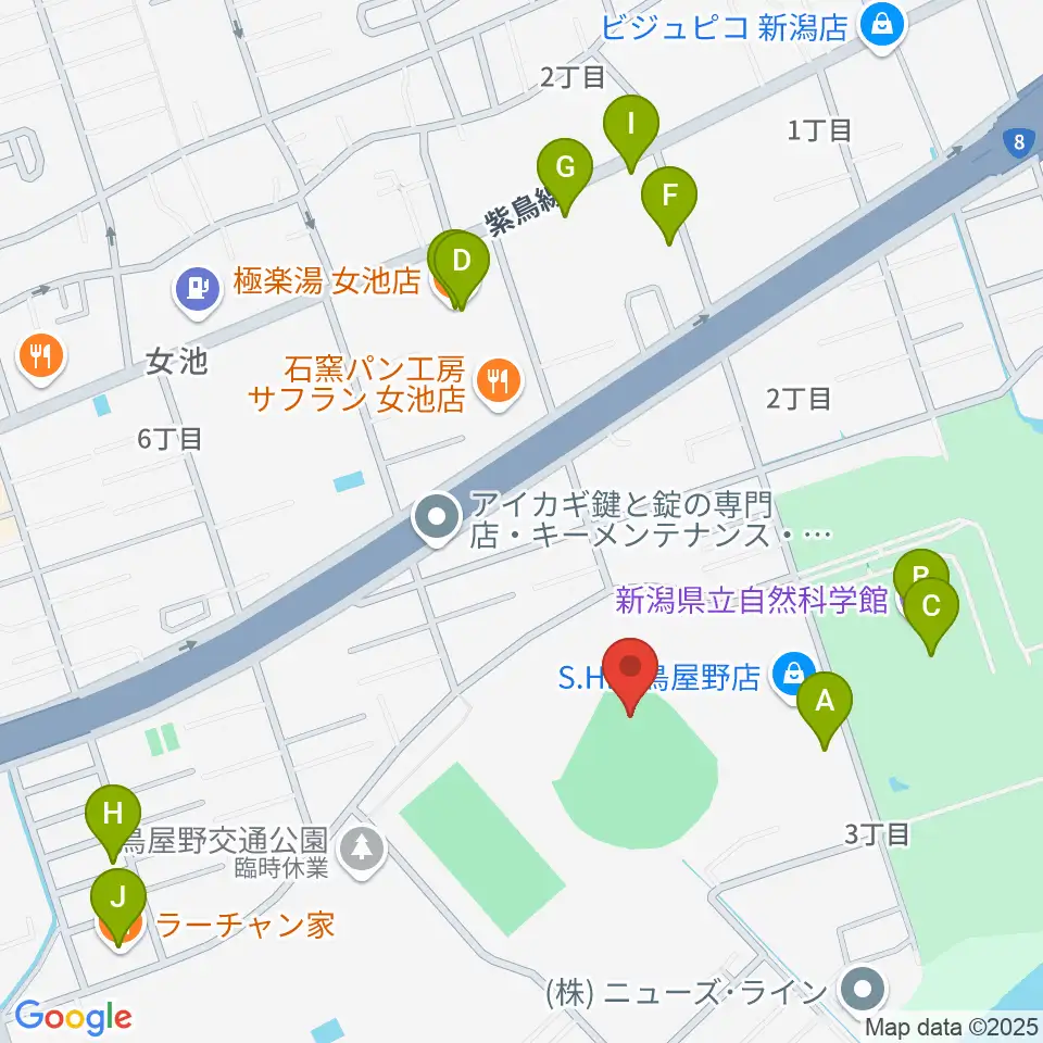 鳥屋野運動公園野球場周辺のファミレス・ファーストフード一覧地図