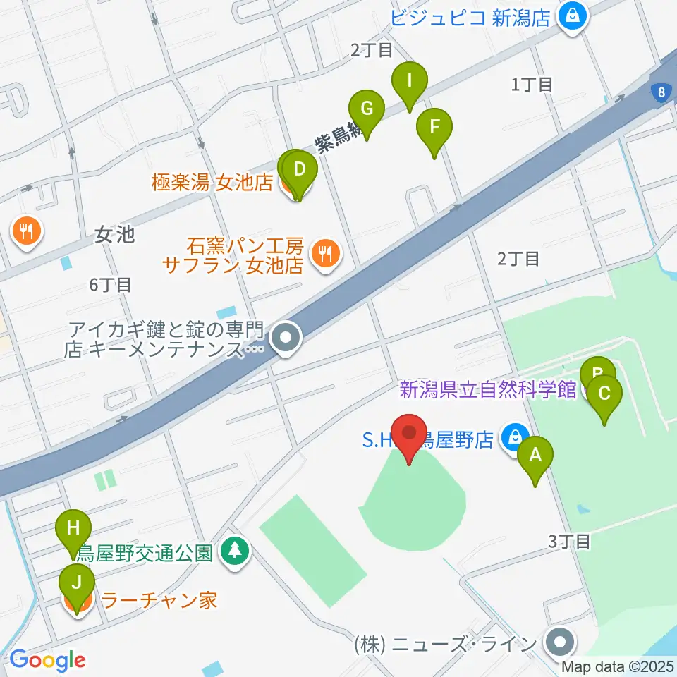 鳥屋野運動公園野球場周辺のファミレス・ファーストフード一覧地図