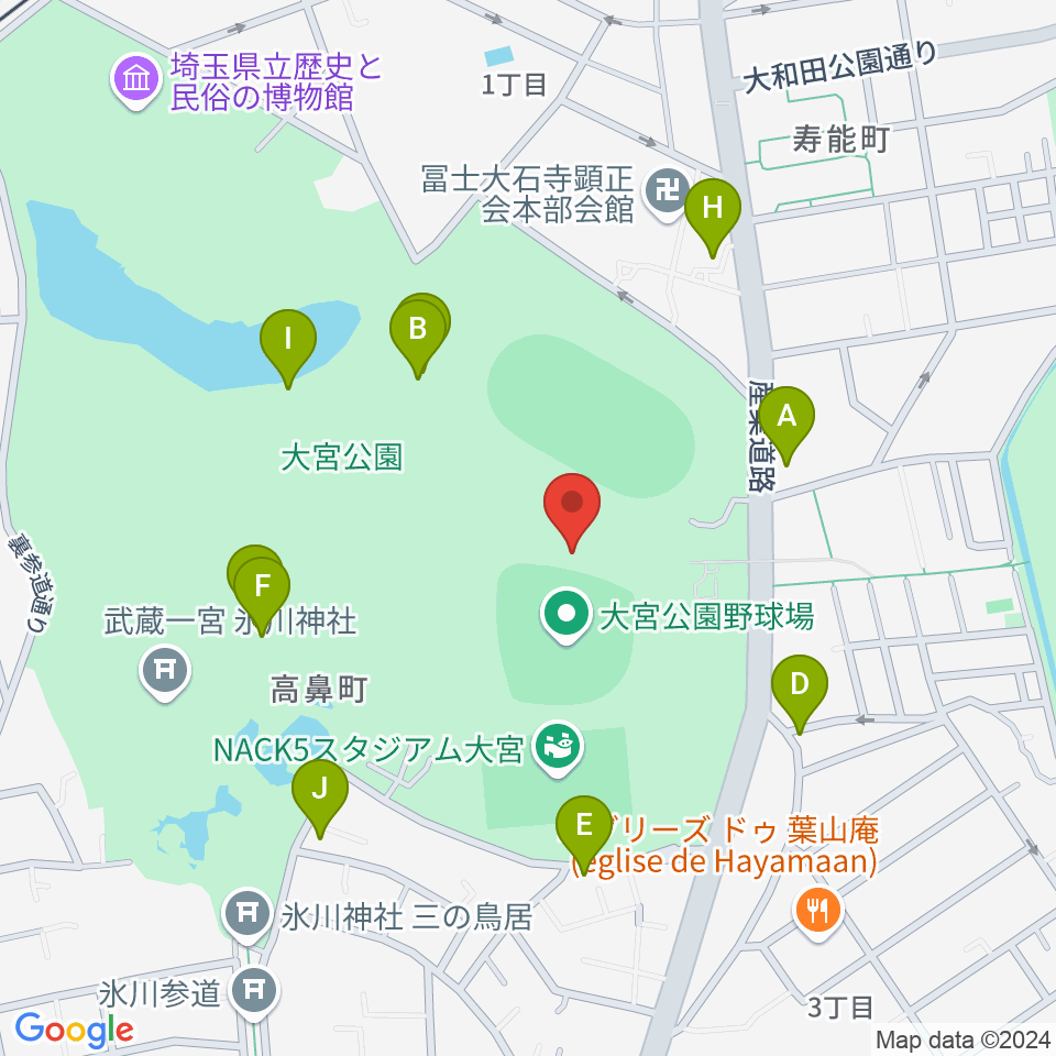 埼玉県営大宮公園野球場周辺のファミレス・ファーストフード一覧地図